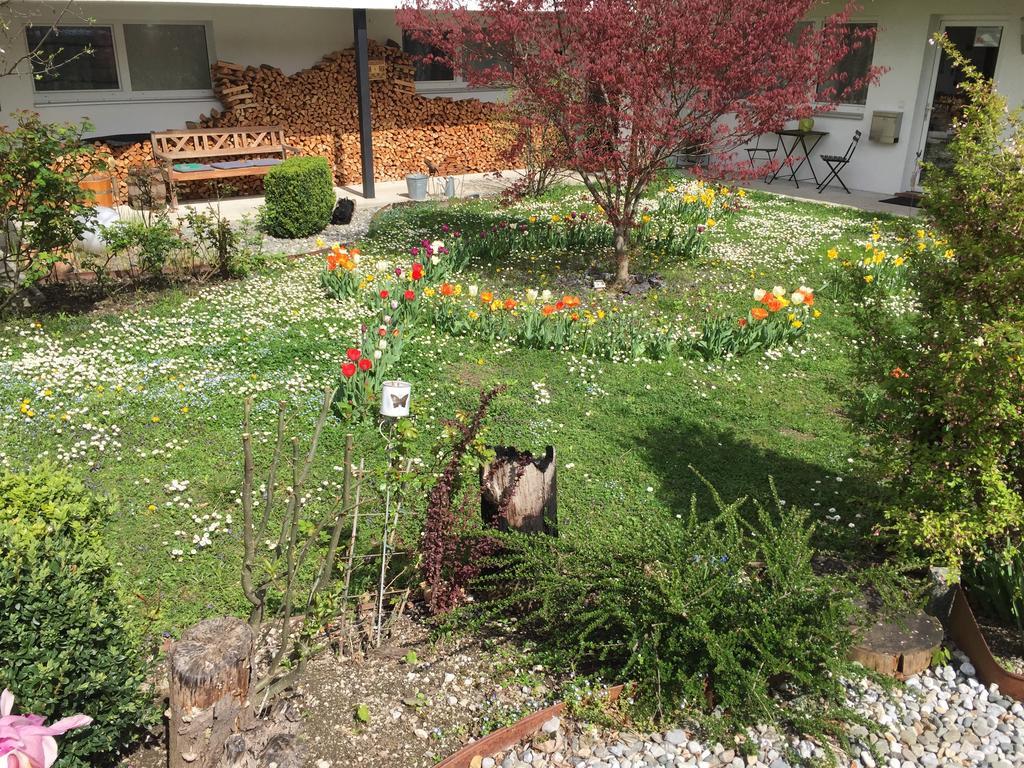 Innsbruck Apartment Nigler Buitenkant foto